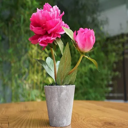 Olympus Thalassea Boutique 3*